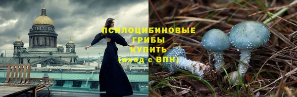 а пвп мука Армянск