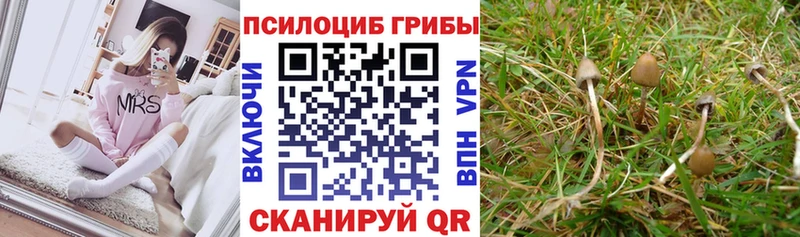 Псилоцибиновые грибы Magic Shrooms Новохопёрск